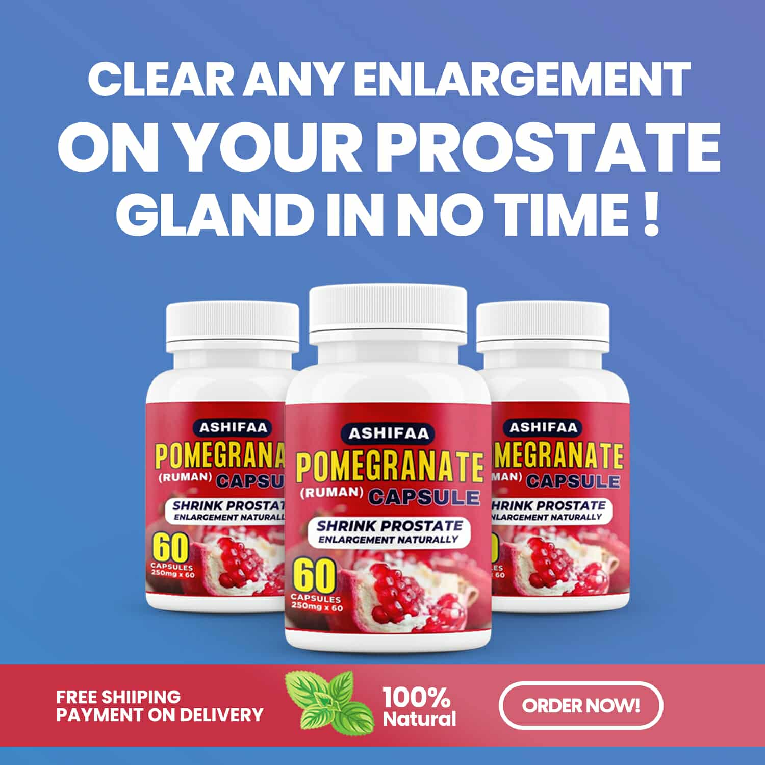 555881319_1222695113226287_6523143662670395498_n